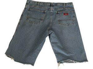 Dickies Shortsit 01B1